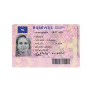 Buy Dutch drivers license online