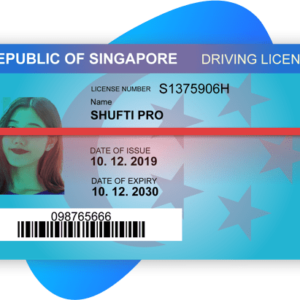 buy Singapore drivers license online